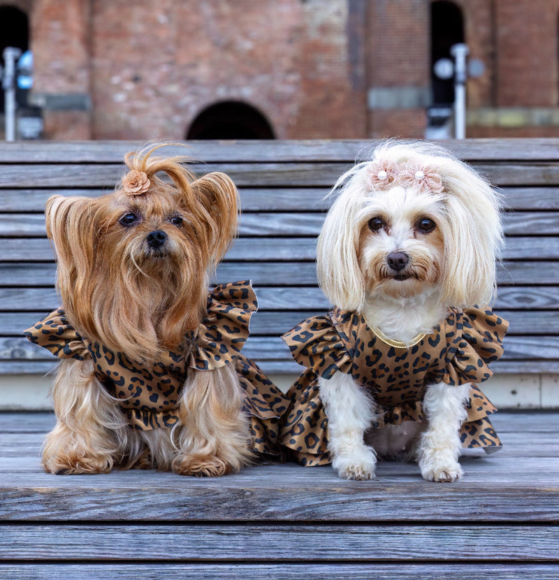 PET FASHION