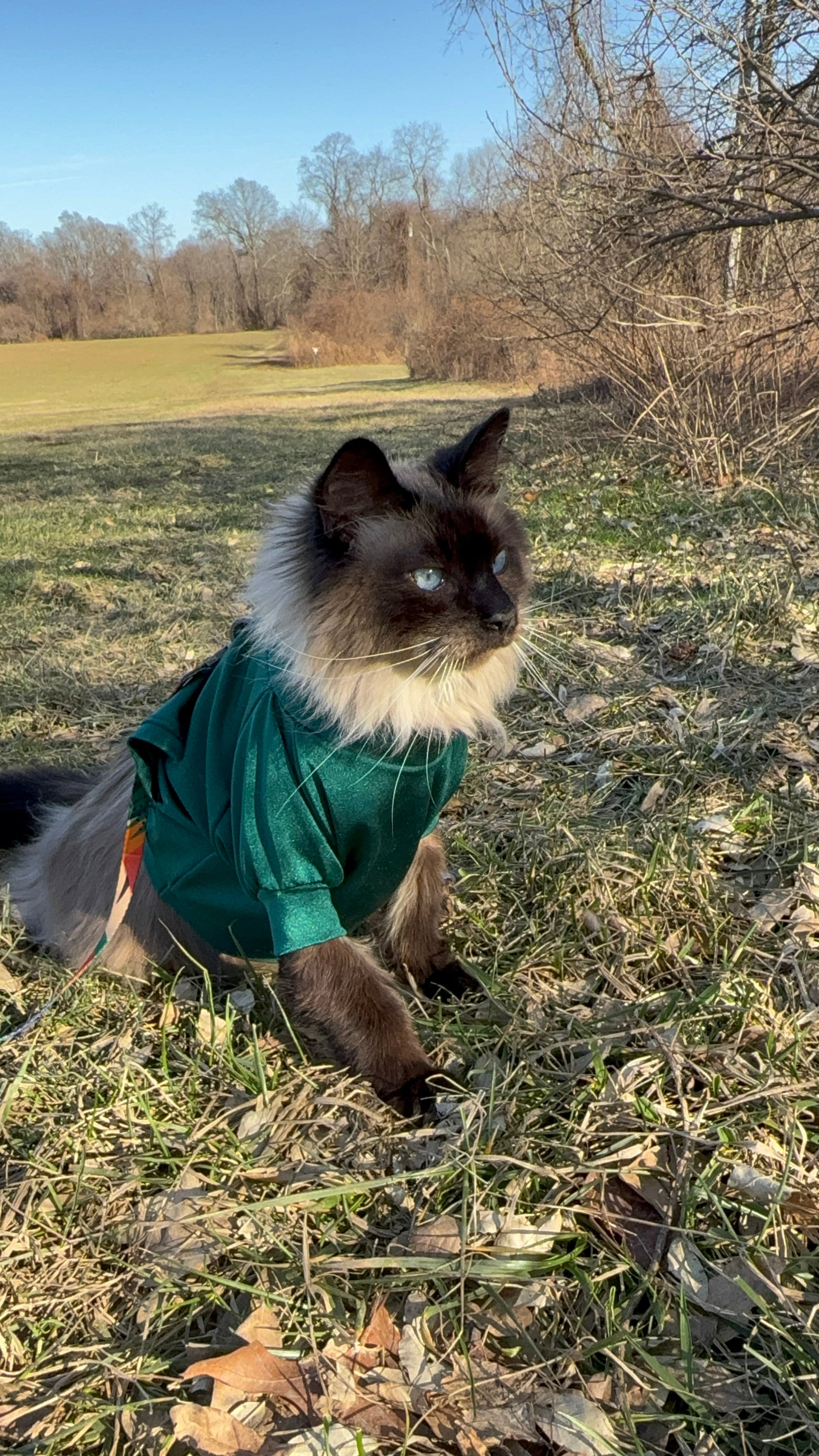 KELSEY SHIRT