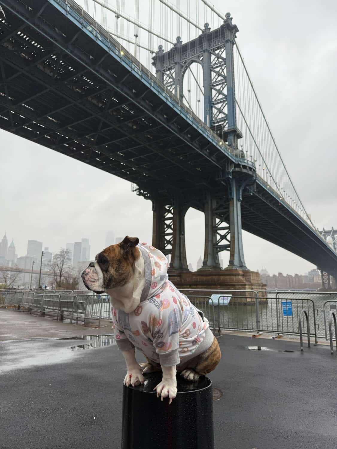 I LOVE NYC HOODY UNISEX