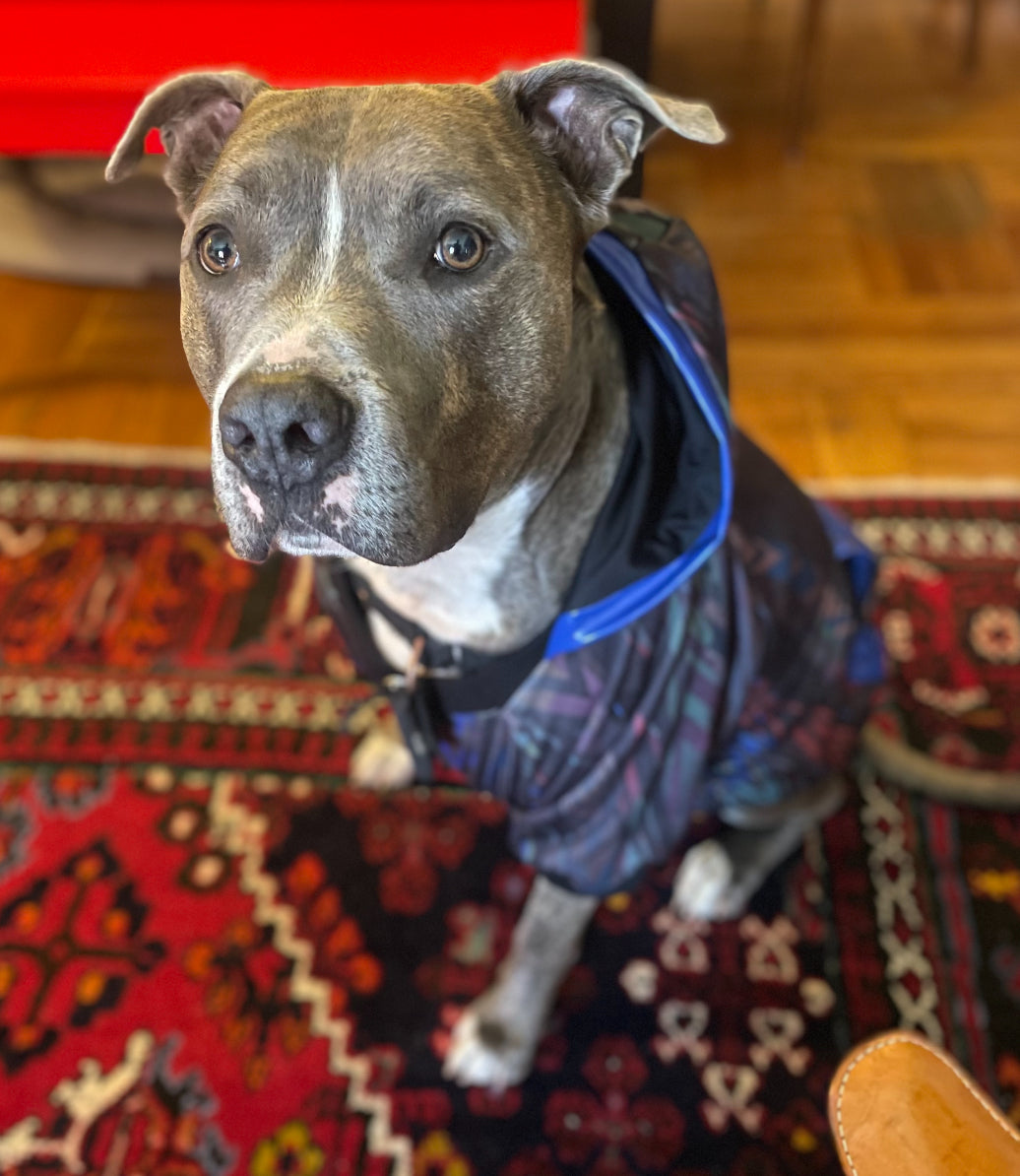 BENNIE HOODIE Unisex