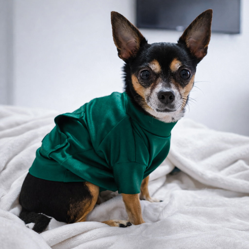 KELSEY MATCH YOUR PET SET