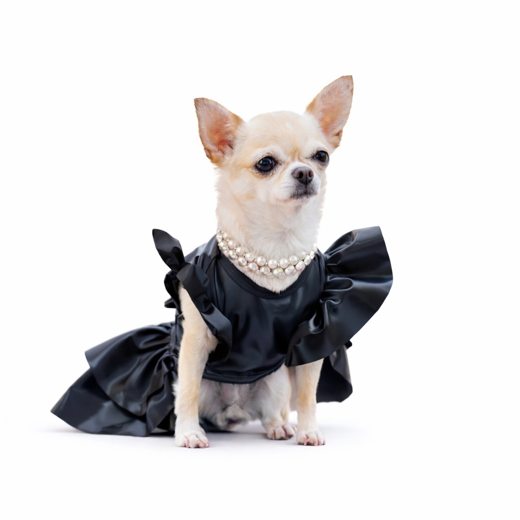 ELI TRACKSUIT SET MATCH YOUR PET SET (unisex)