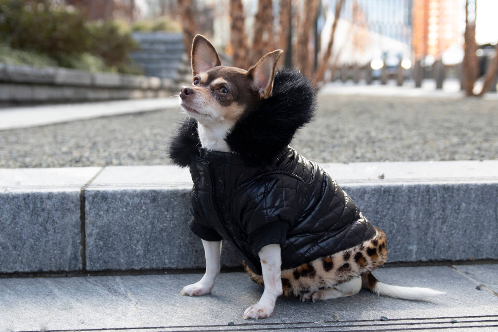 JOSHUA PUFFER JACKET