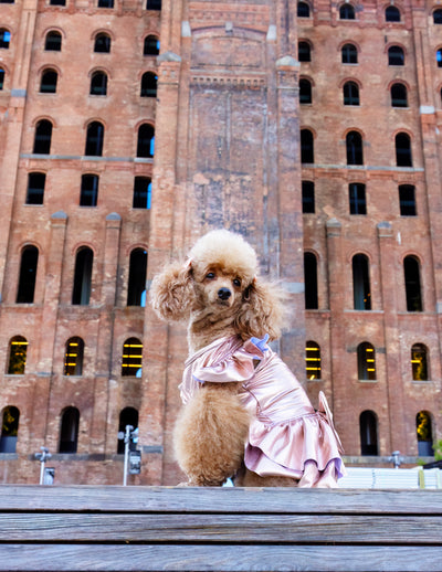 MAXIE DRESS ROSE GOLD