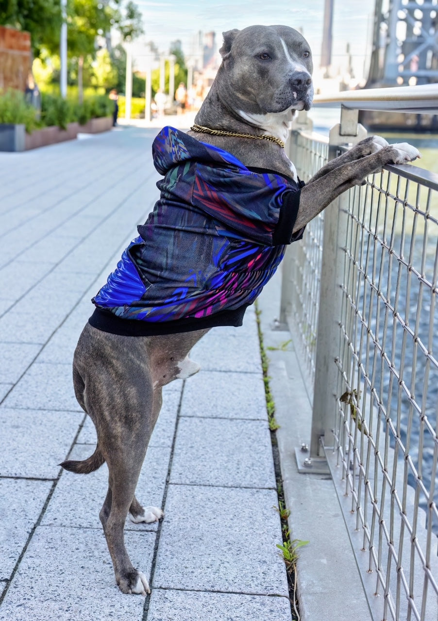 BENNIE HOODIE Unisex