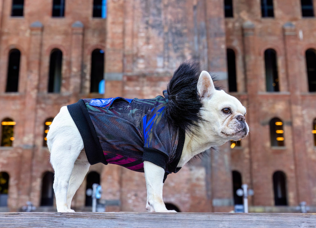 BENNIE HOODIE Unisex