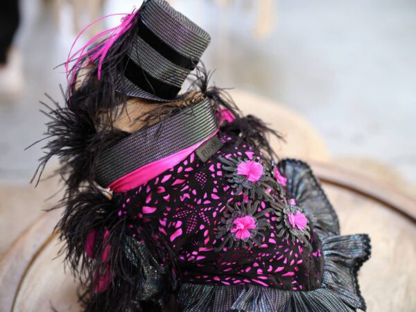 Decorative outfit with feathers and pink accents.