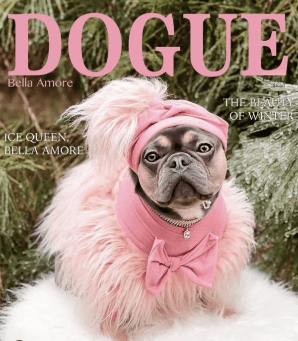 Dog magazine cover featuring a fashionable pug.
